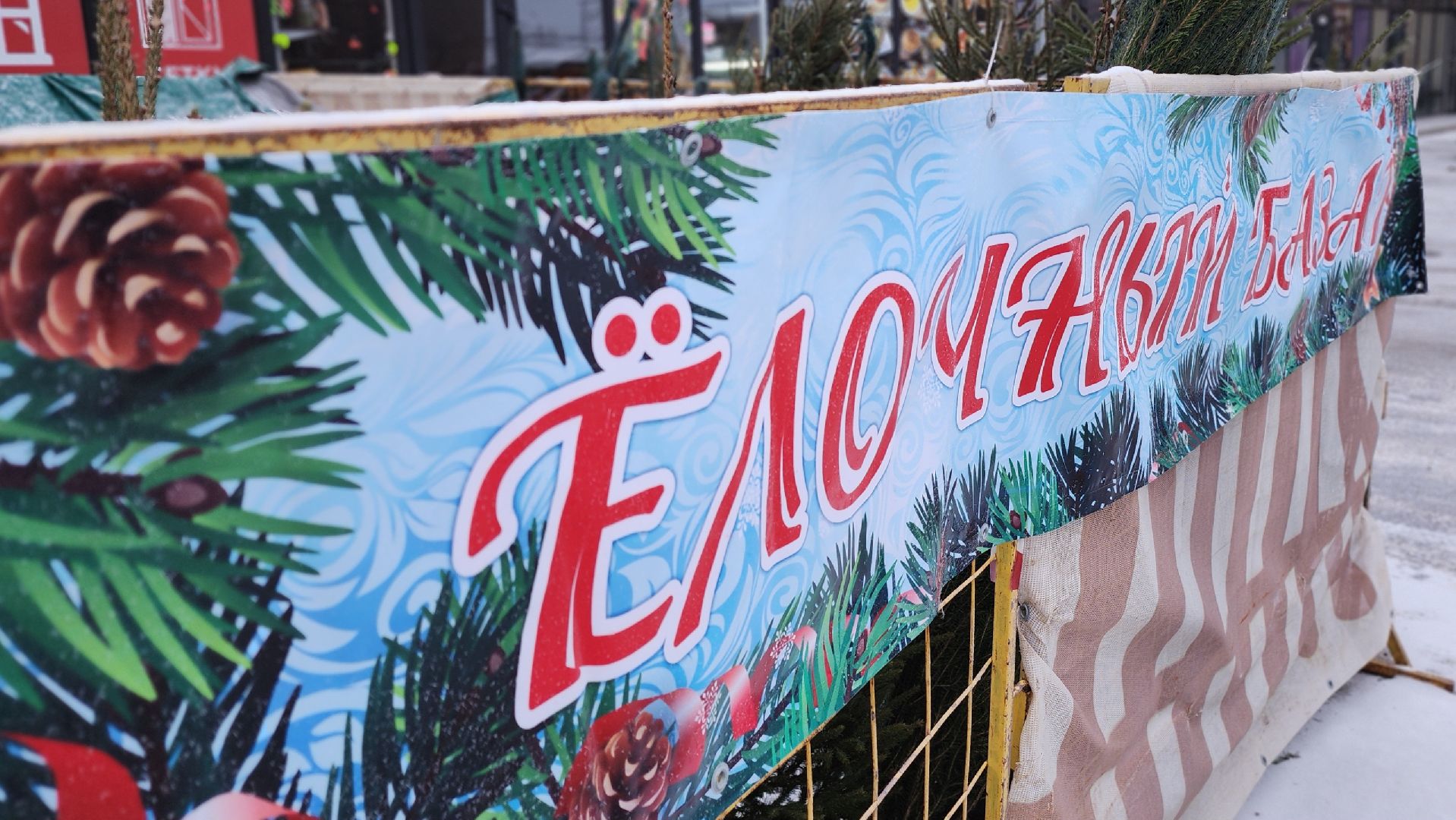 Руза, елочные базары, Новый год , Зима в подмосковье,