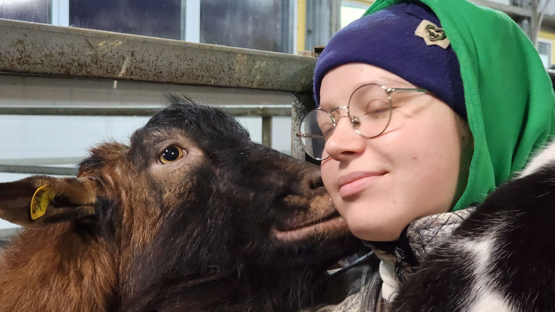 Луховицы , Былинкино, Новый год с Даринкой,