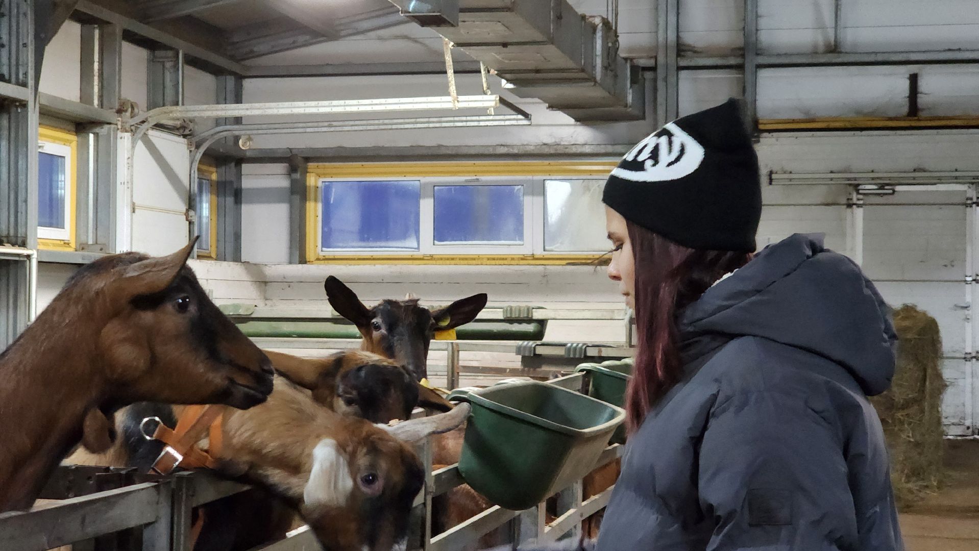 Луховицы , Былинкино, Новый год с Даринкой,