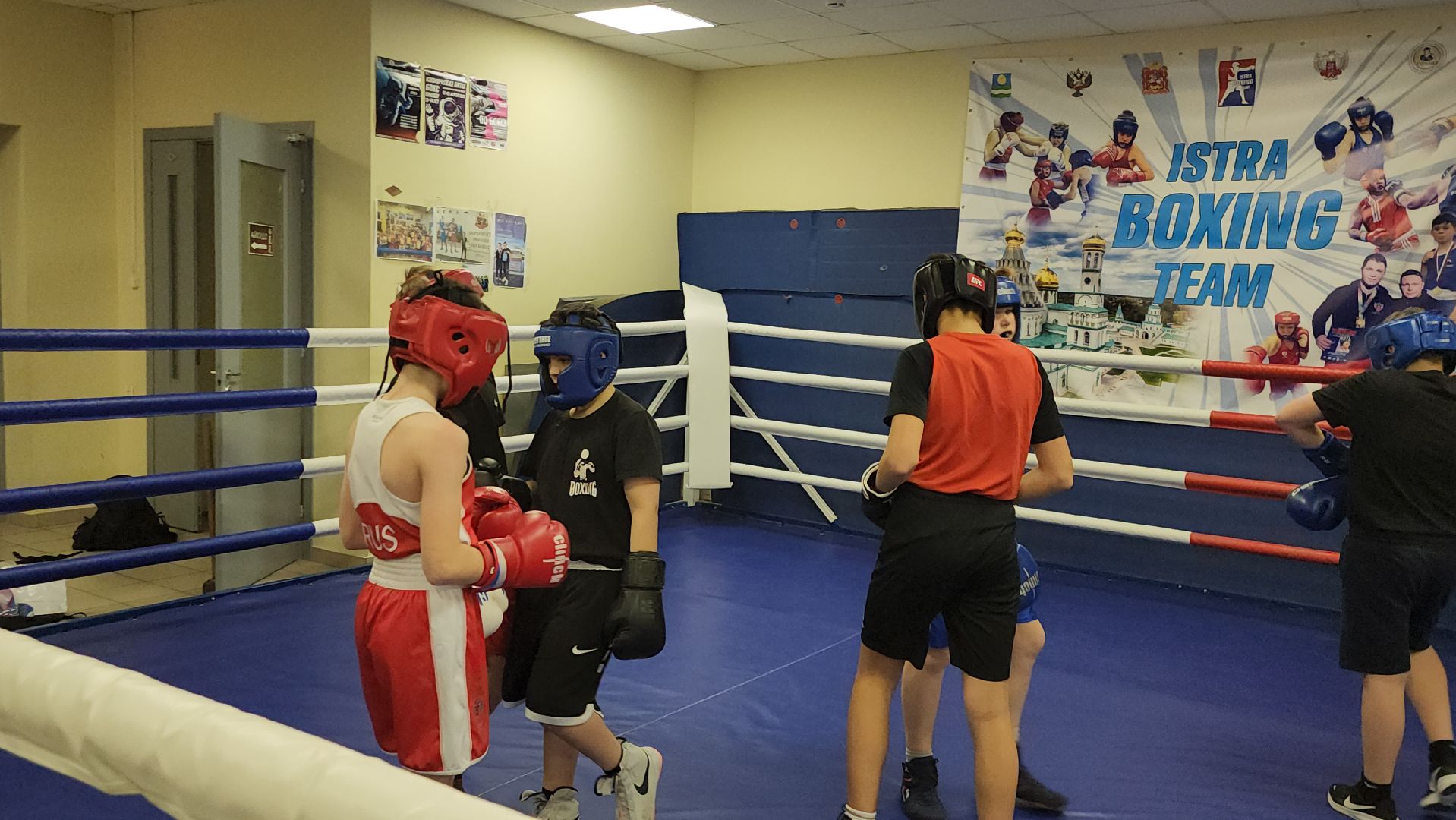 Истра, Бокс, Спорт,