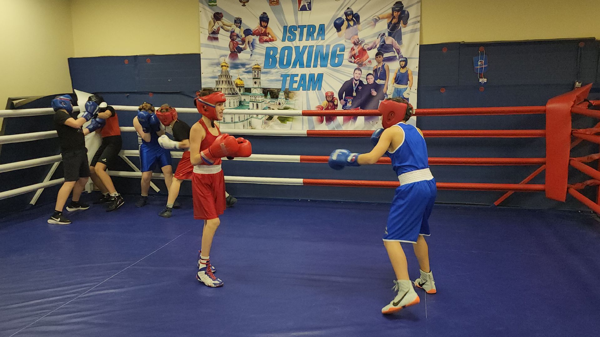 Истра, Бокс, Спорт,