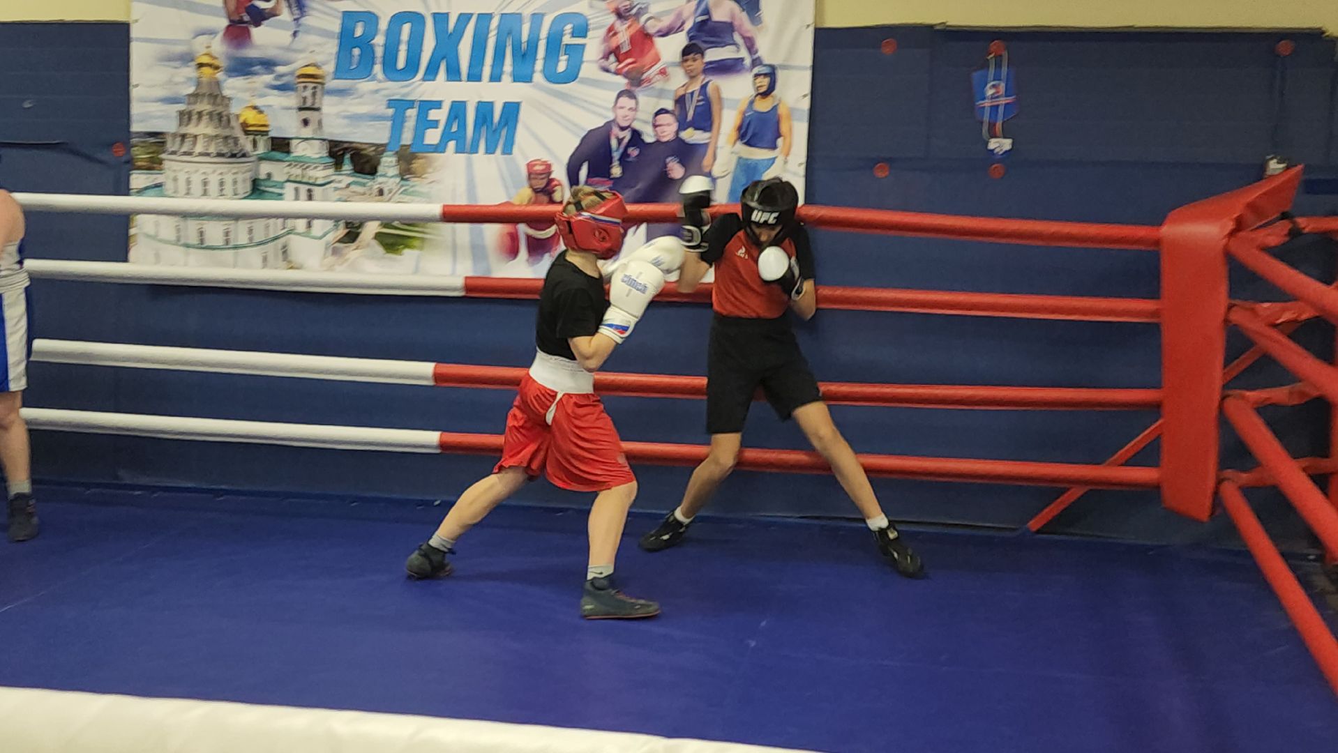 Истра, Бокс, Спорт,