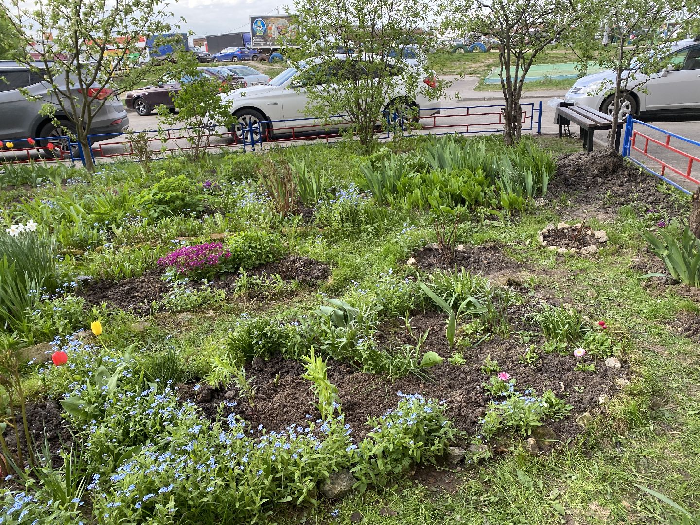 Чехов, благоустройство, жители, смородина, МКД