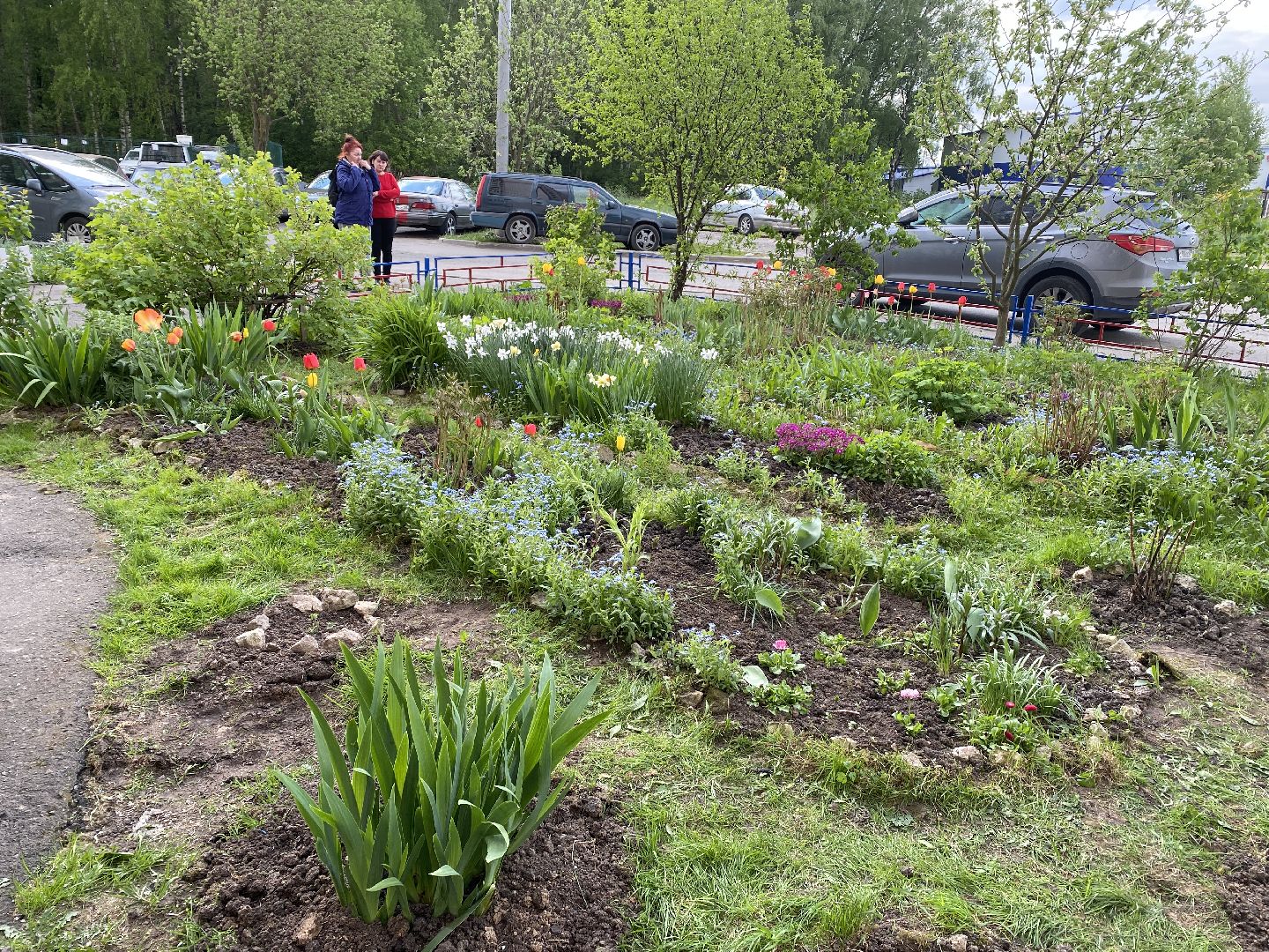 Чехов, благоустройство, жители, смородина, МКД