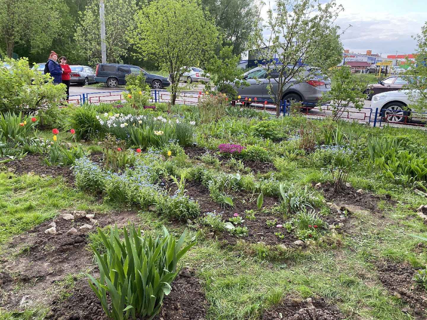Чехов, благоустройство, жители, смородина, МКД