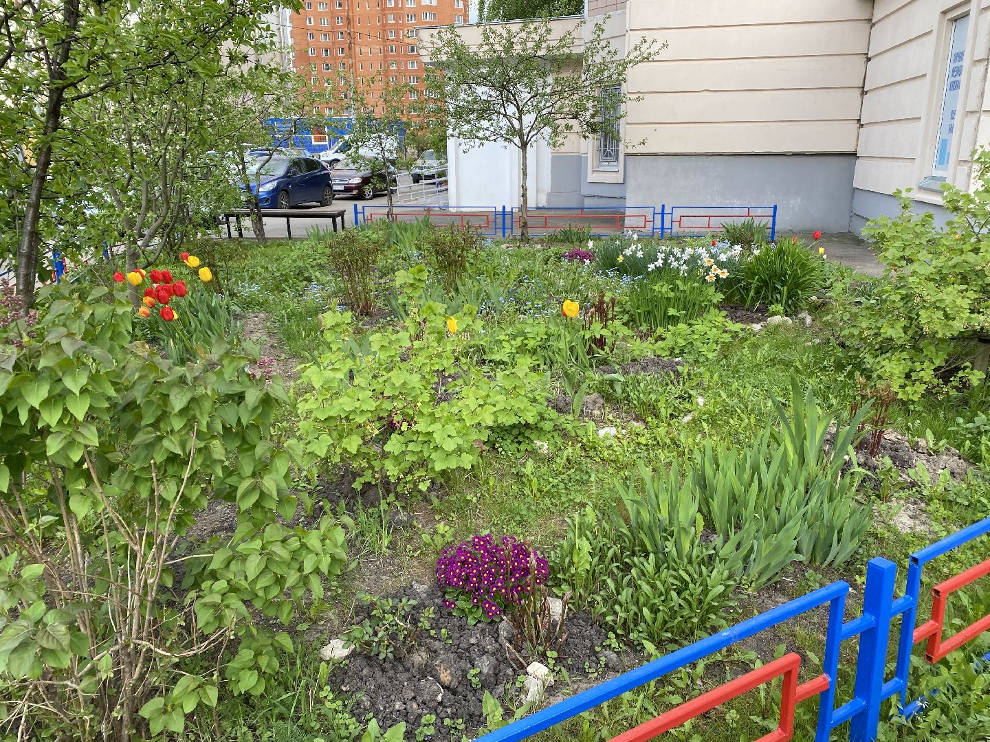 Чехов, благоустройство, жители, смородина, МКД