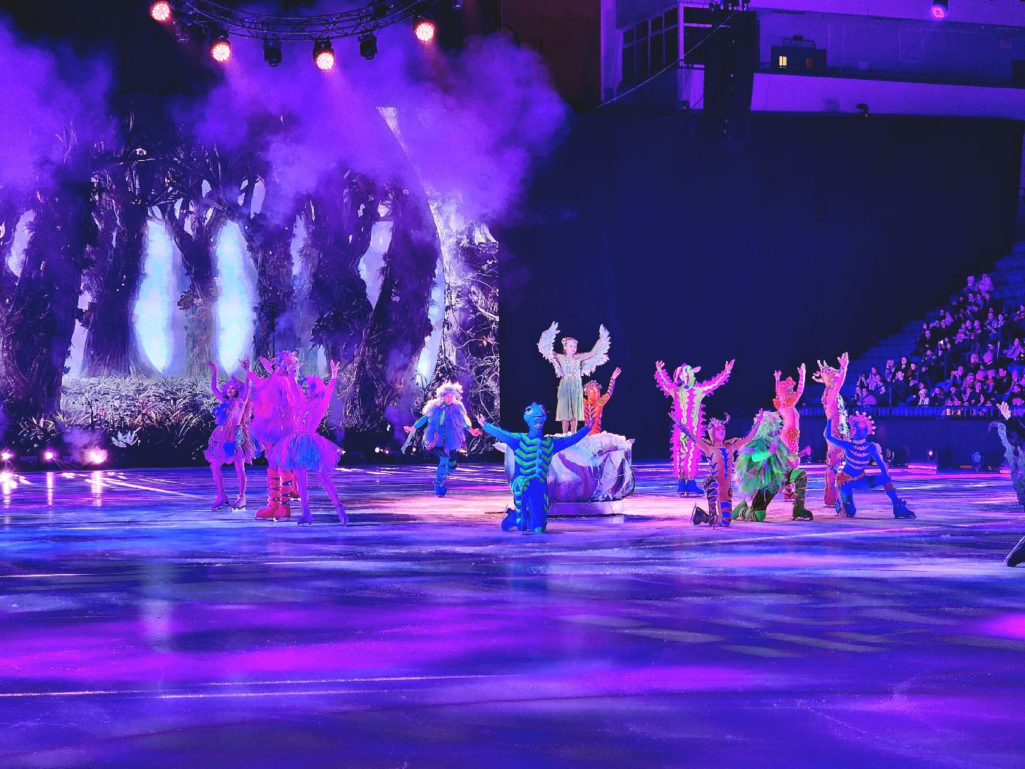 Подольск , ледовое шоу, татьяна навка, губернаторская елка,