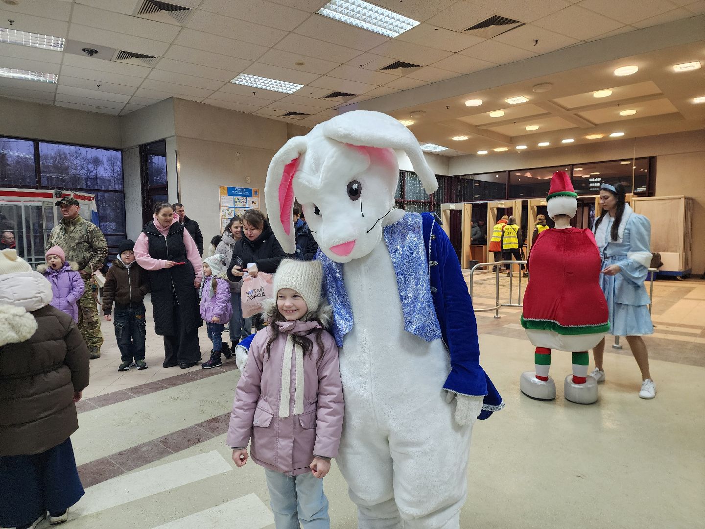 Подольск , ледовое шоу, татьяна навка, губернаторская елка,