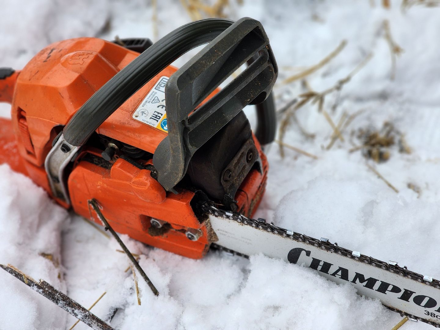 елочка-2025, мособллес, лесничества московской области, хвойные деревья, елка под охраной, незаконная вырубка елок, сергиев посад, сергиево-посадский городской округ,