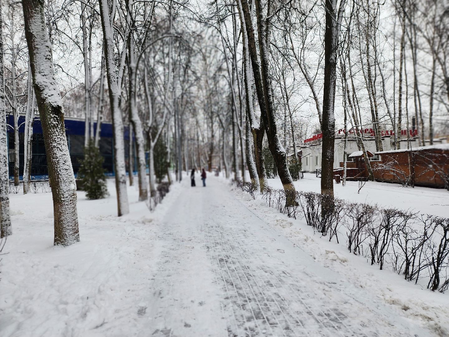 королёв, горзеленхозстрой, уборка снега королев,