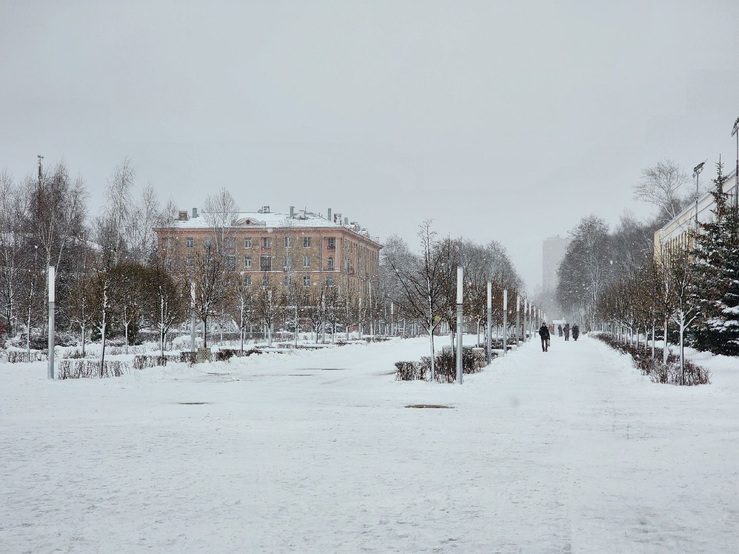 королёв, горзеленхозстрой, уборка снега королев,