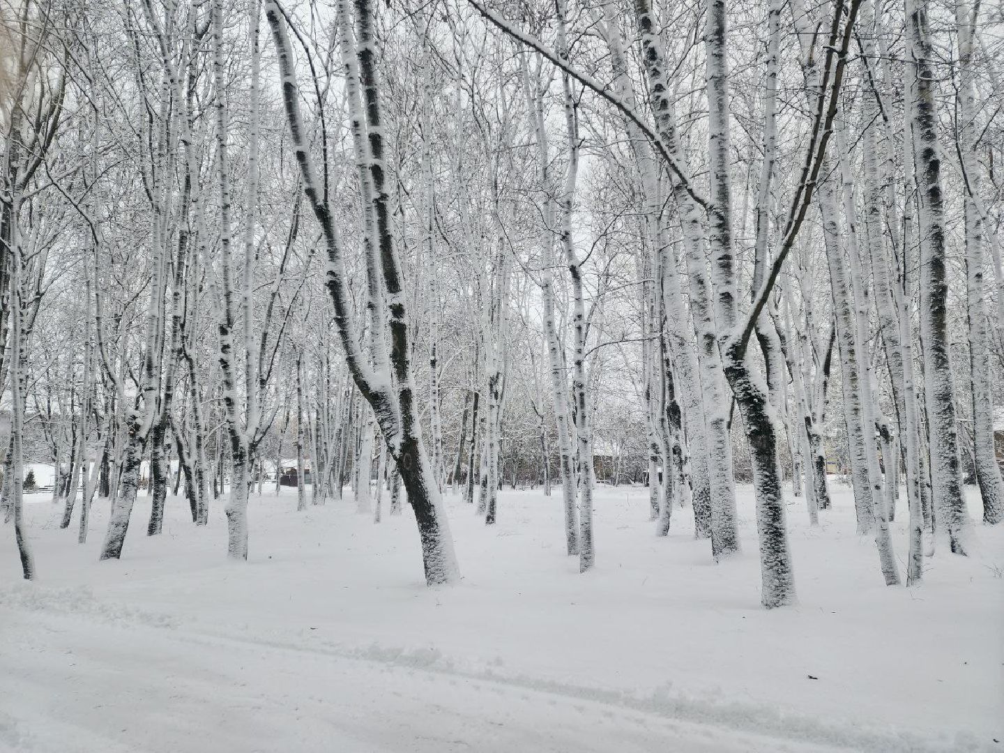 солнечногорск, зима, благоусиройство, снегопад,