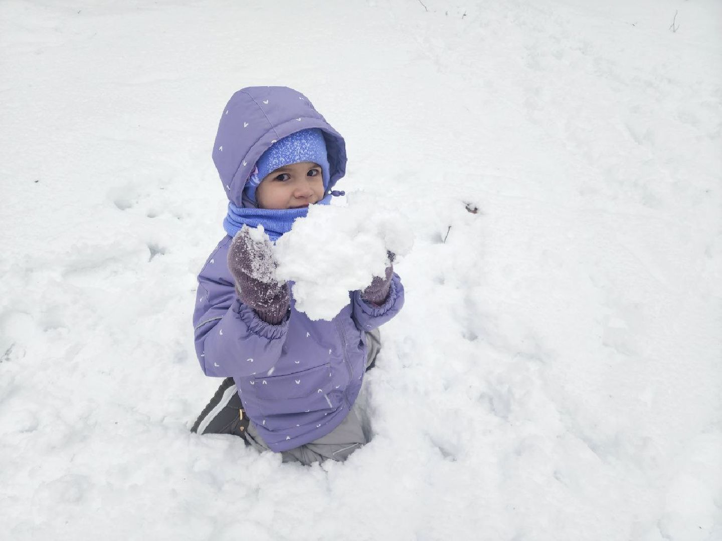 солнечногорск, общество,