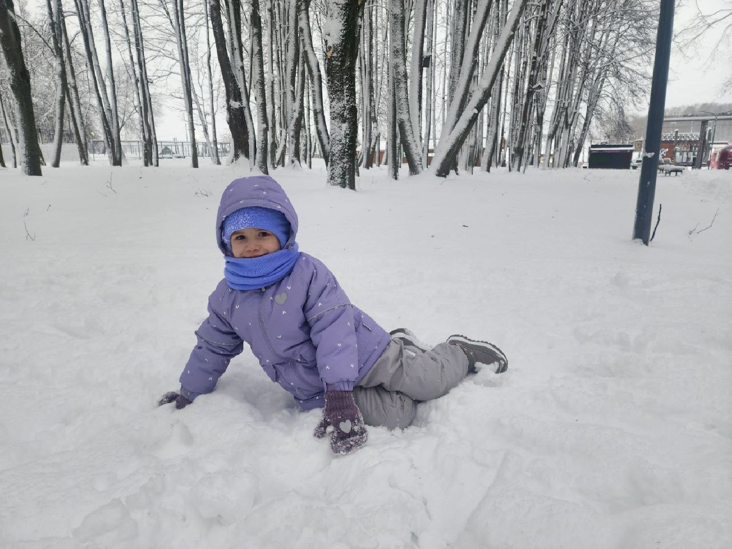 солнечногорск, общество,