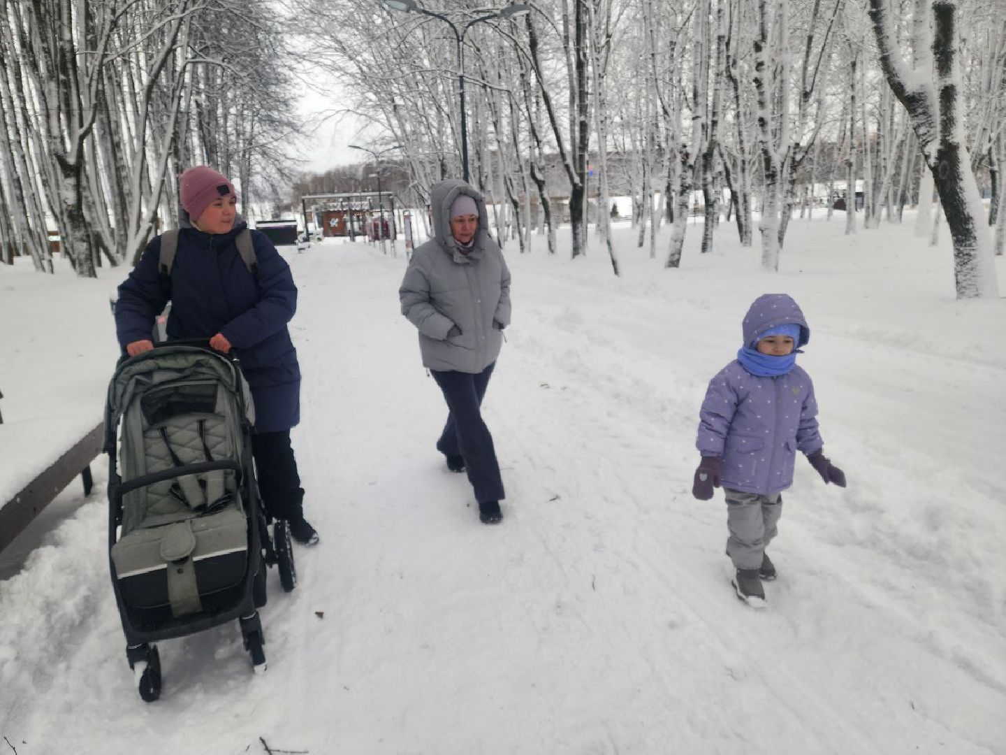 солнечногорск, общество,