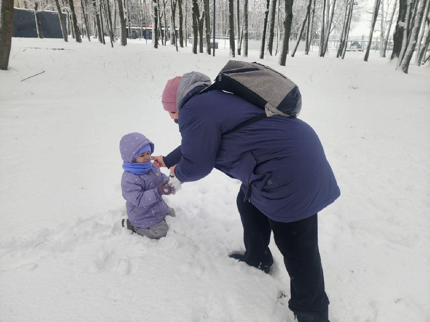солнечногорск, общество,