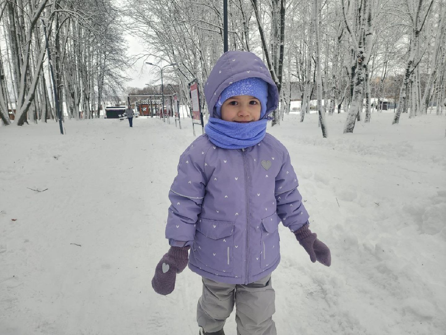 солнечногорск, общество,