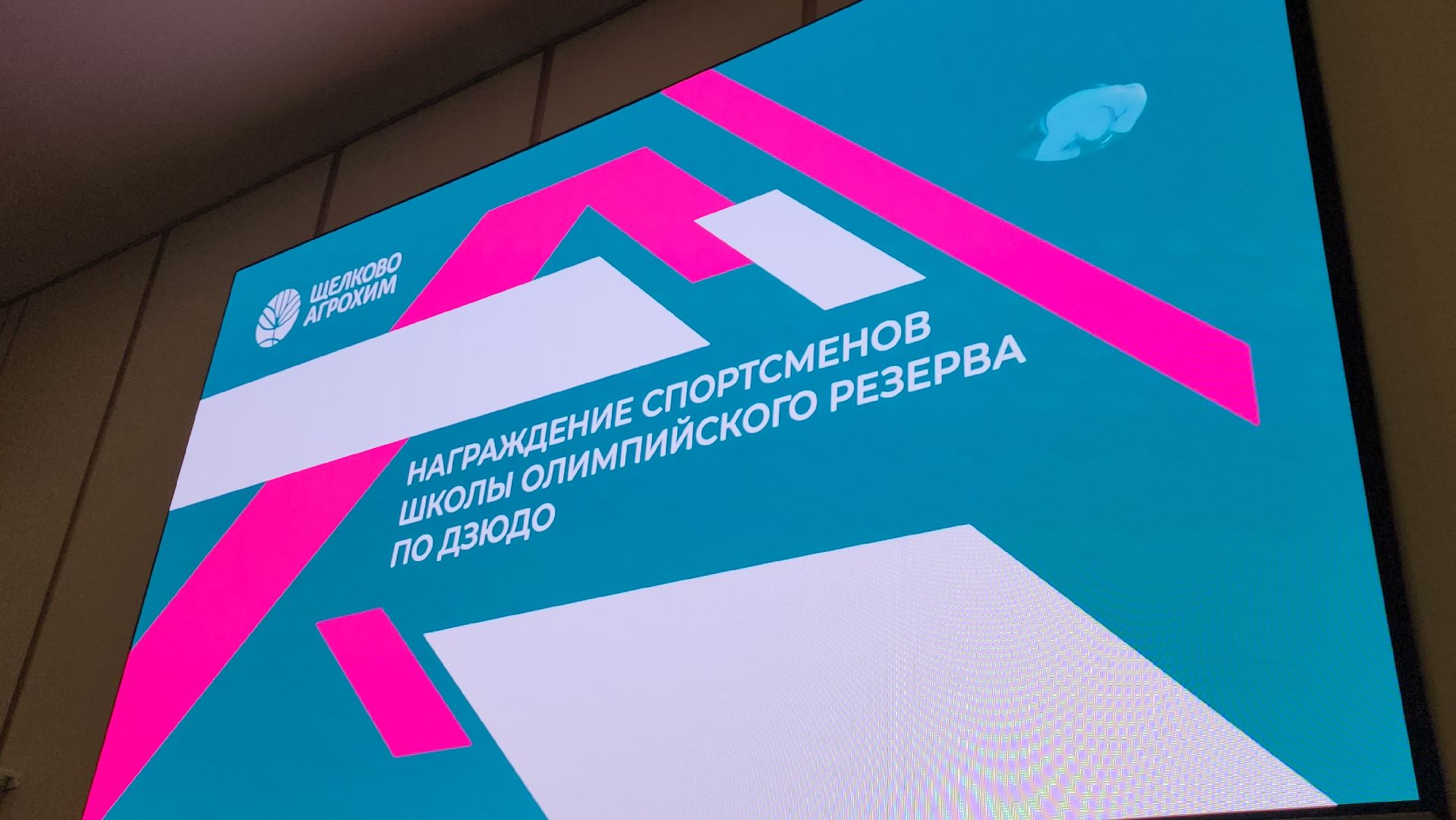 щёлково, агрохим, награждение, дзюдо,