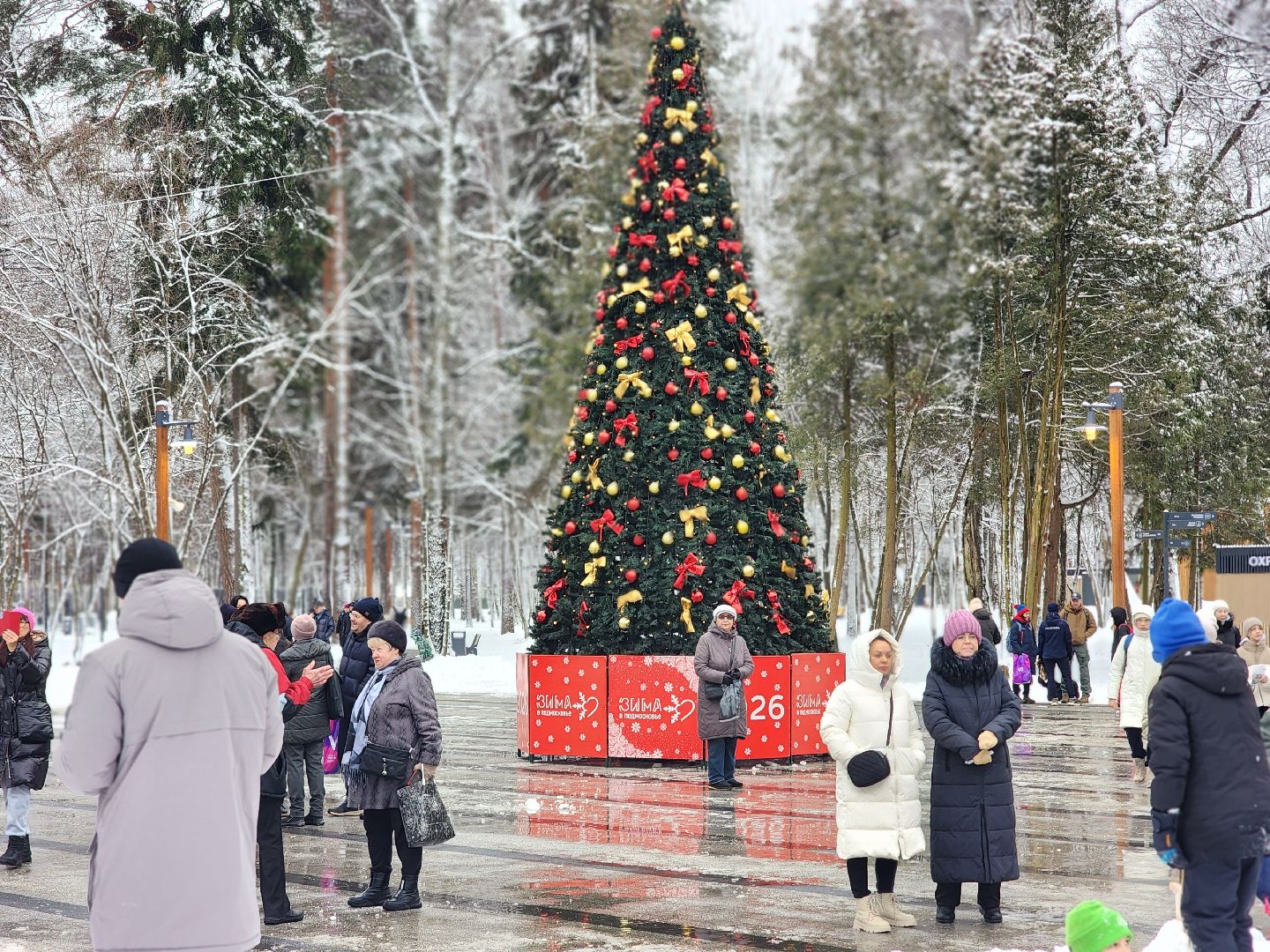 королёв, открытие парка папанинская дача, благоустройство , зима в подмомсковье,