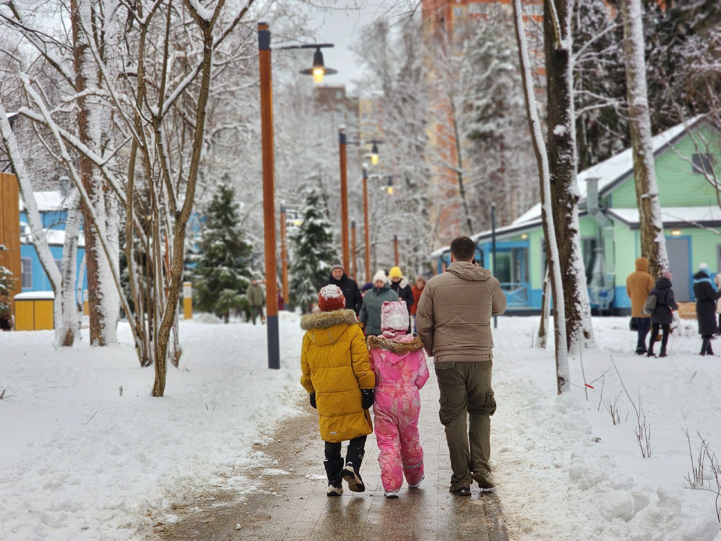 королёв, открытие парка папанинская дача, благоустройство , зима в подмомсковье,