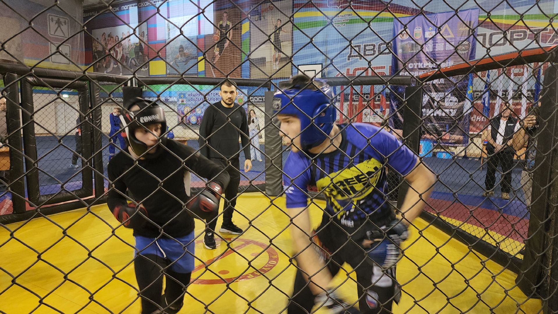 кашира, спорт, мма, смешанные единоборства, соревнования, путь к олимпу,