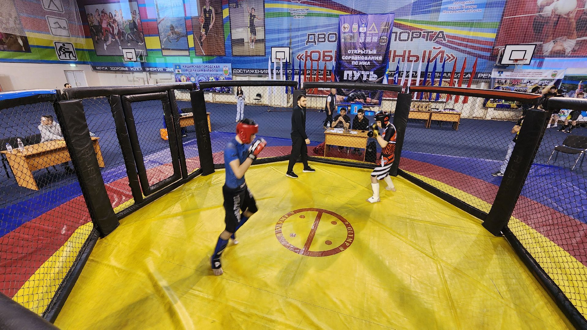 кашира, спорт, мма, смешанные единоборства, соревнования, путь к олимпу,