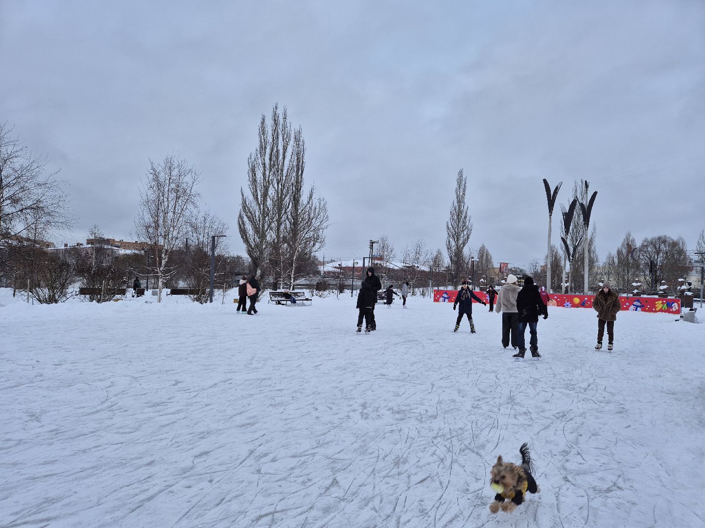 каток, парки подмосковья, орехово-зуево,