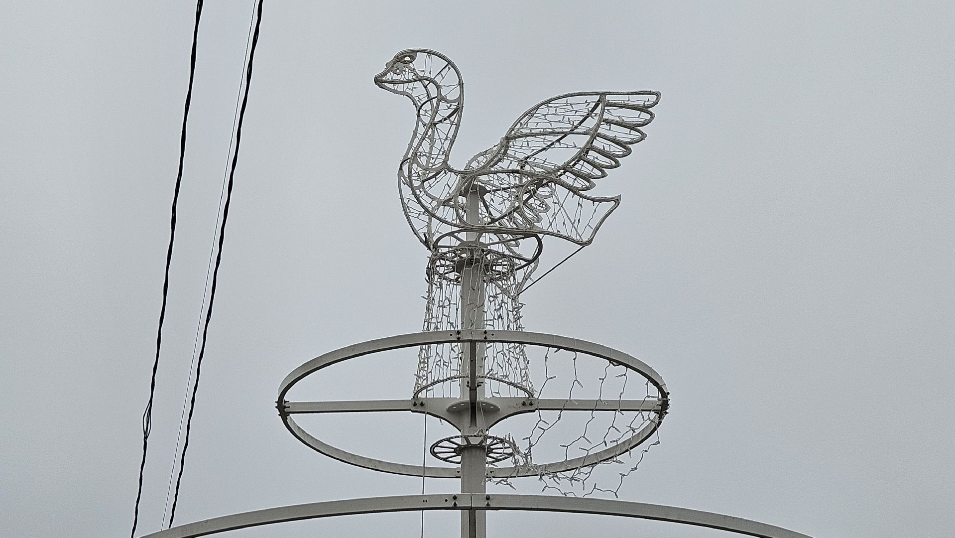 долгопрудный, мбу благоустройство, световые инсталляции, световые конструкции, ёлка, зима в подмосковье 2025, фотозона,