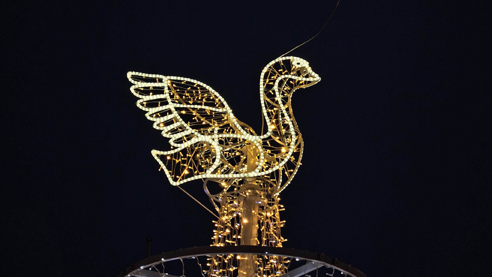 долгопрудный, мбу благоустройство, световые инсталляции, световые конструкции, ёлка, зима в подмосковье 2025, фотозона,