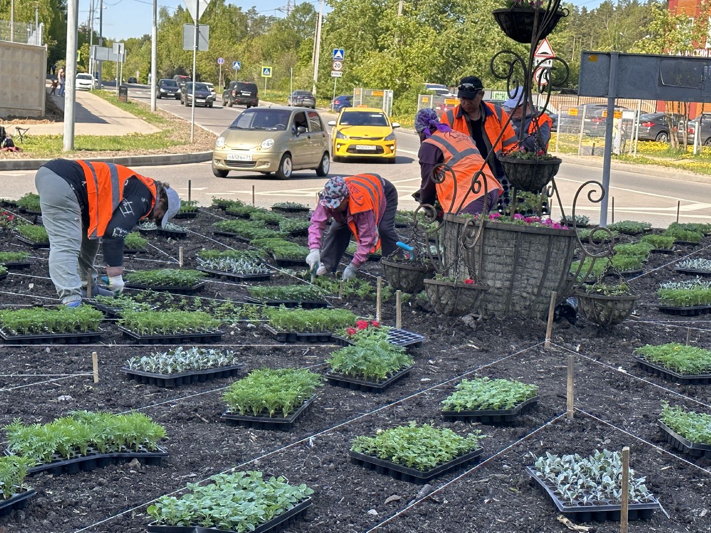 Одинцово, Благоустройство, Цветы, Озеленение