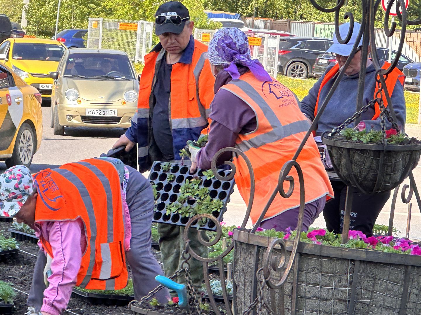 Одинцово, Благоустройство, Цветы, Озеленение