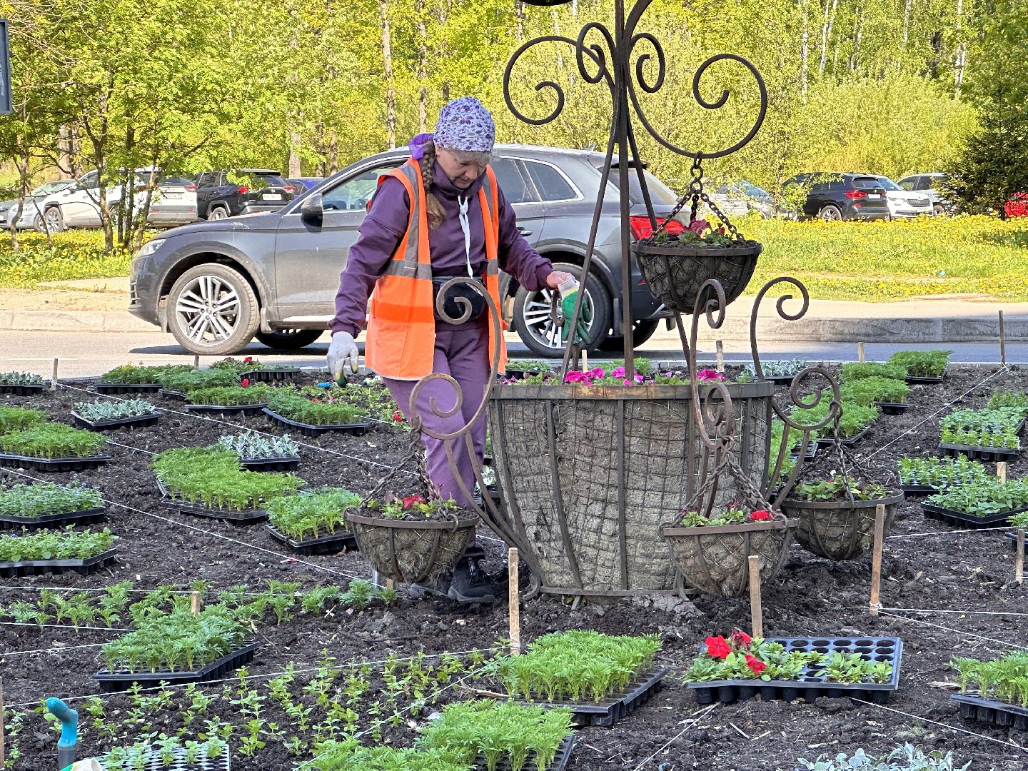 Одинцово, Благоустройство, Цветы, Озеленение