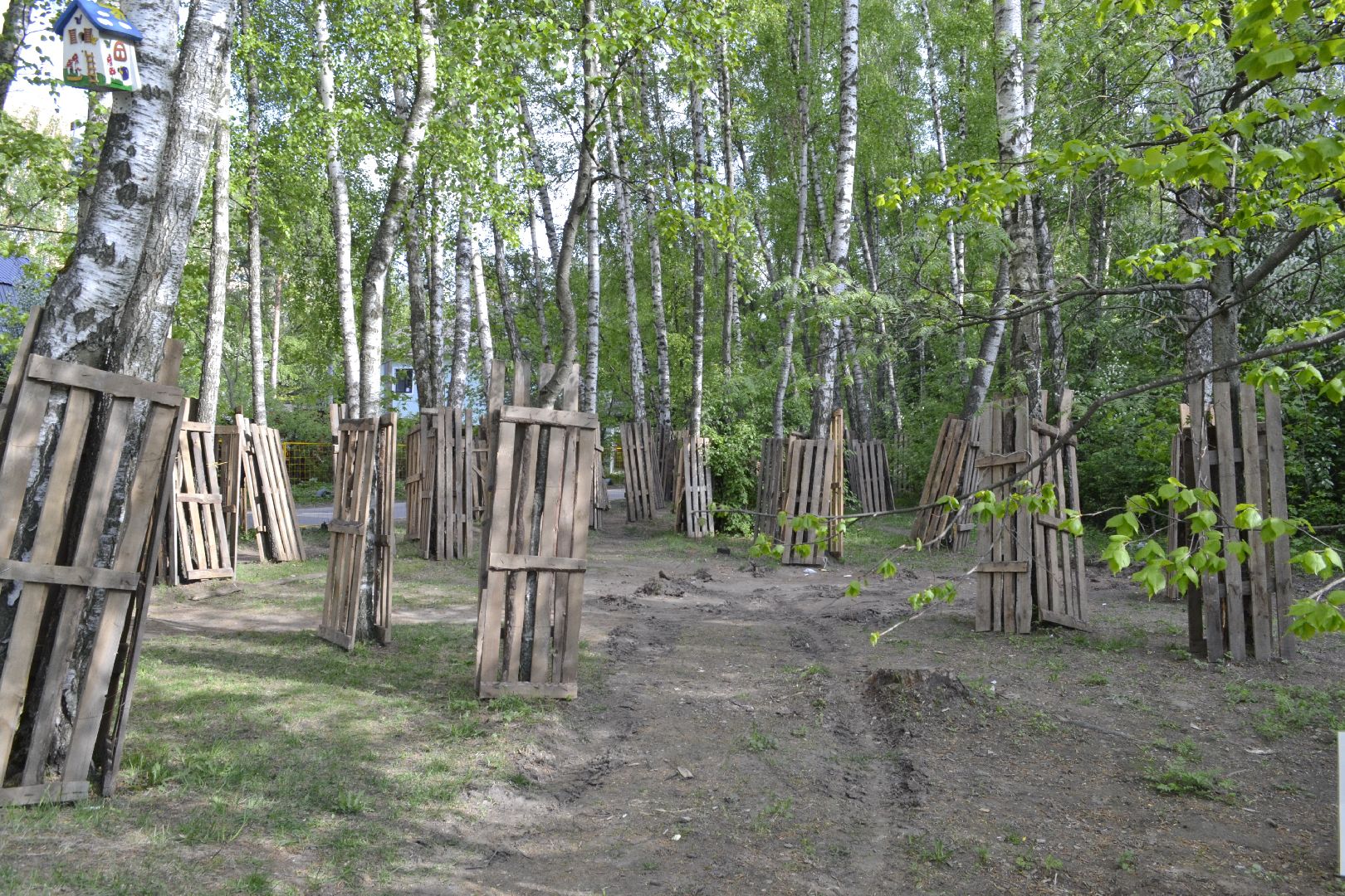 Балашиха, Подмосковье, благоустройство, скверы, Берёзовая роща, роща героев