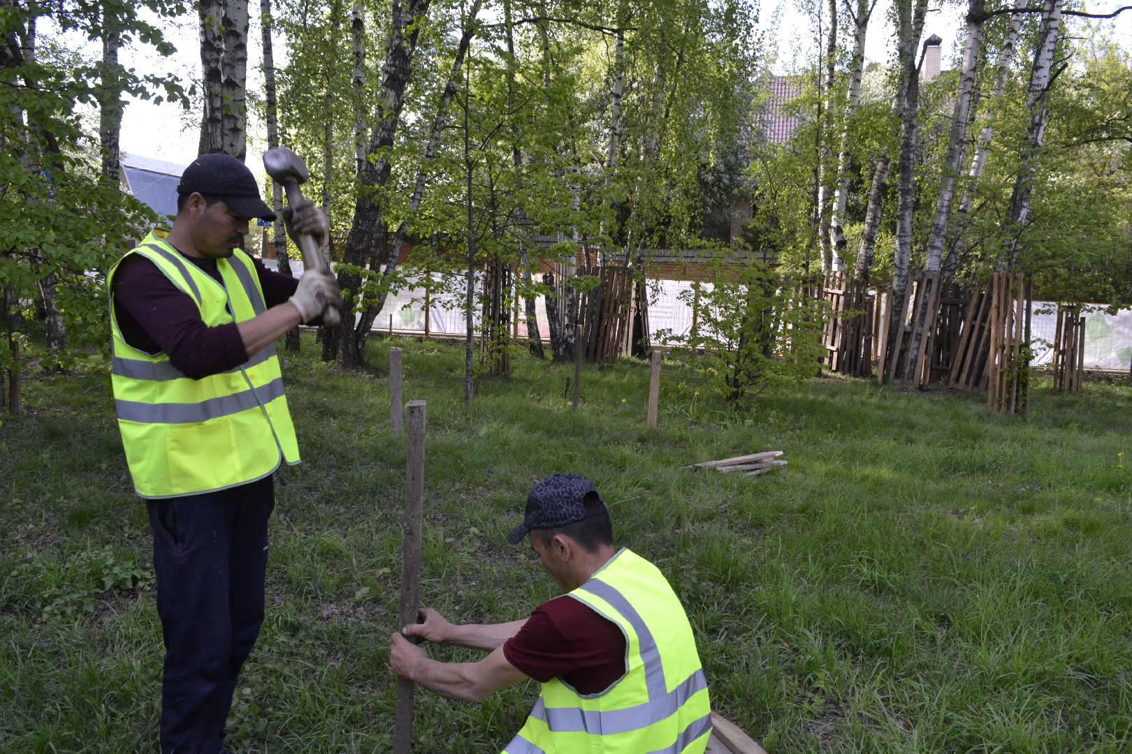 Балашиха, Подмосковье, благоустройство, скверы, Берёзовая роща, роща героев