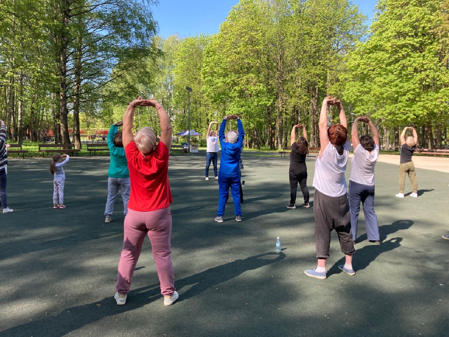 Солнечногорск, парк, цигун, активное долголетие, здоровье