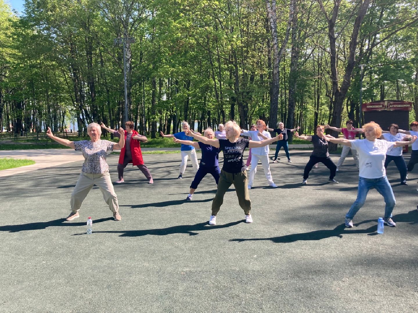 Солнечногорск, парк, цигун, активное долголетие, здоровье