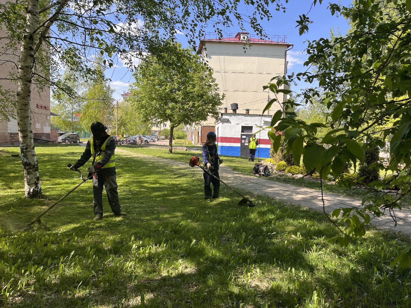 Шаховская, клумбы, покос