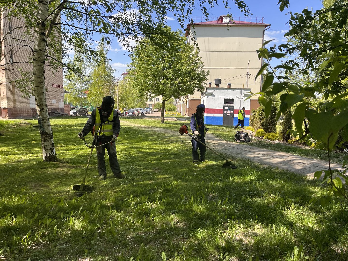 Шаховская, клумбы, покос