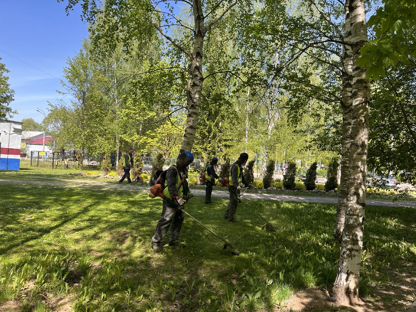 Шаховская, клумбы, покос