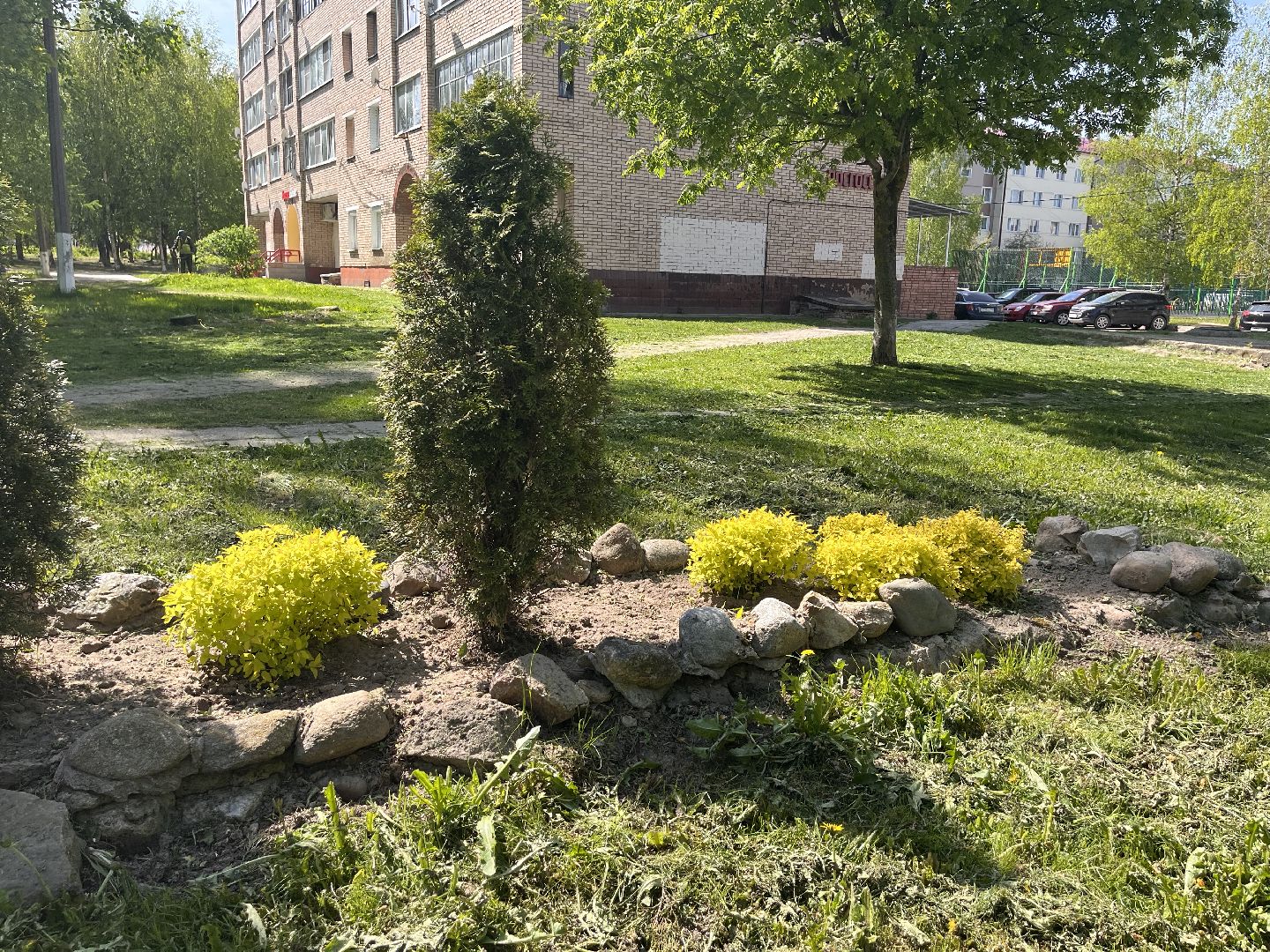 Шаховская, клумбы, покос