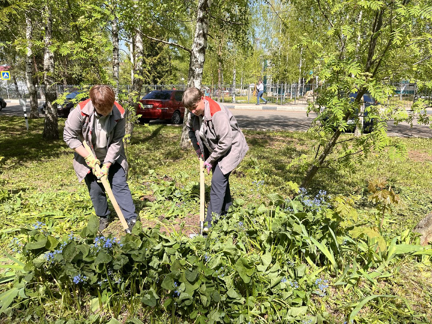 Шаховская, клумбы, покос