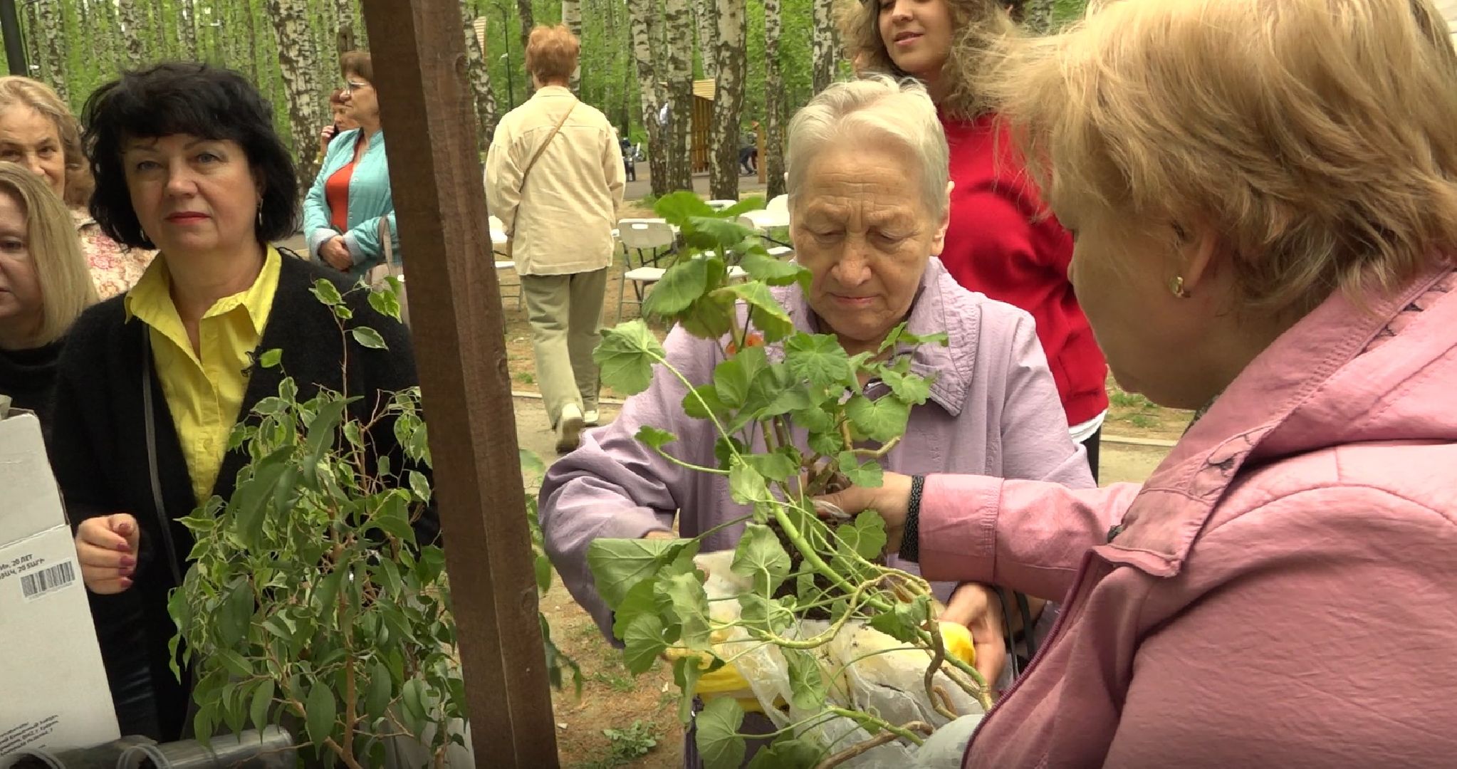 Садоводы, дармарка, Домодедово