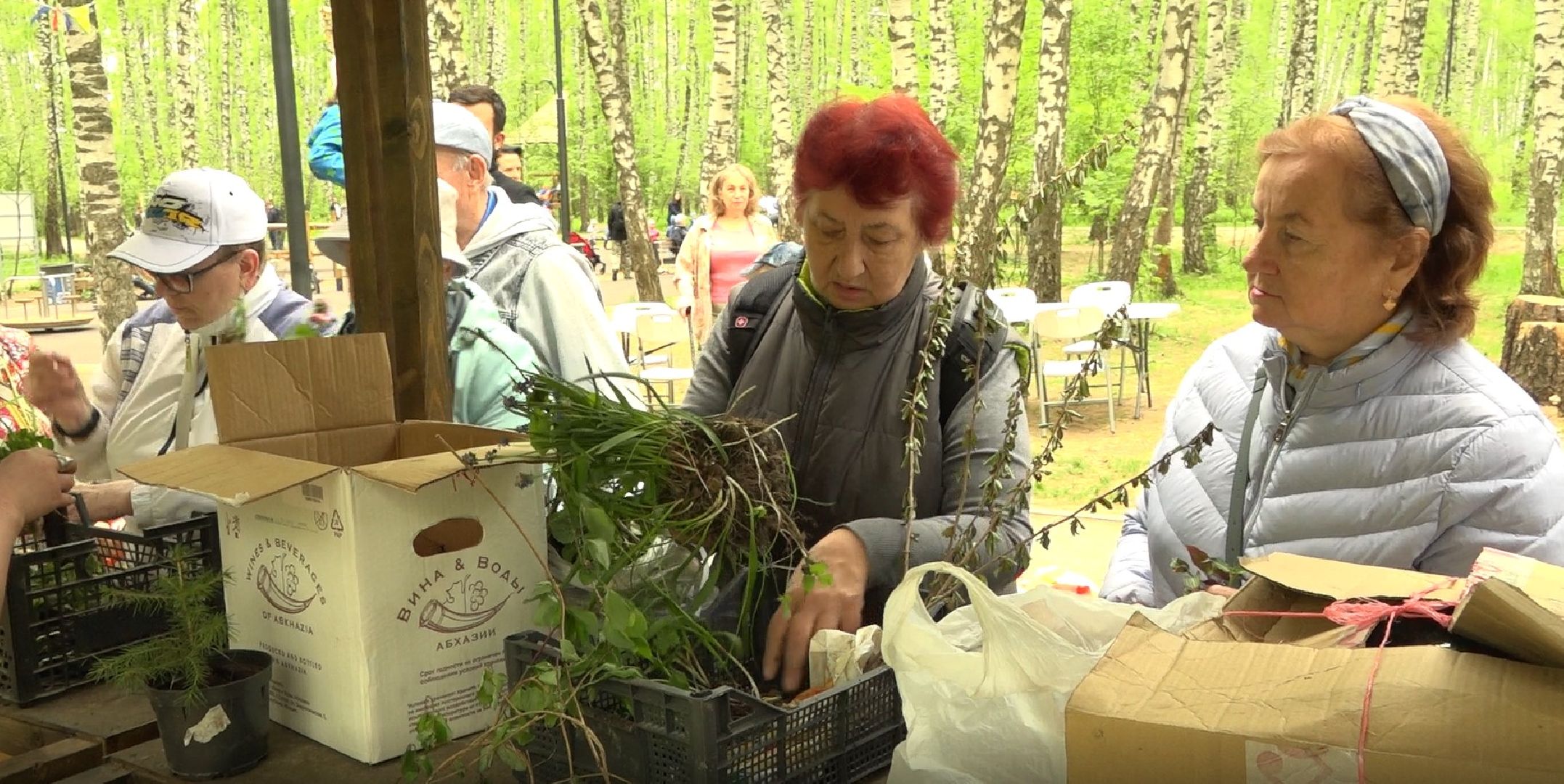 Садоводы, дармарка, Домодедово