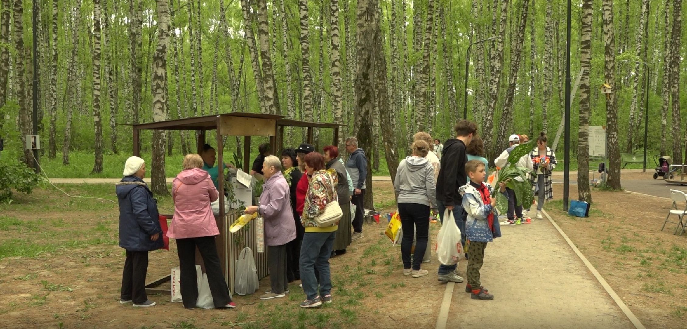Садоводы, дармарка, Домодедово