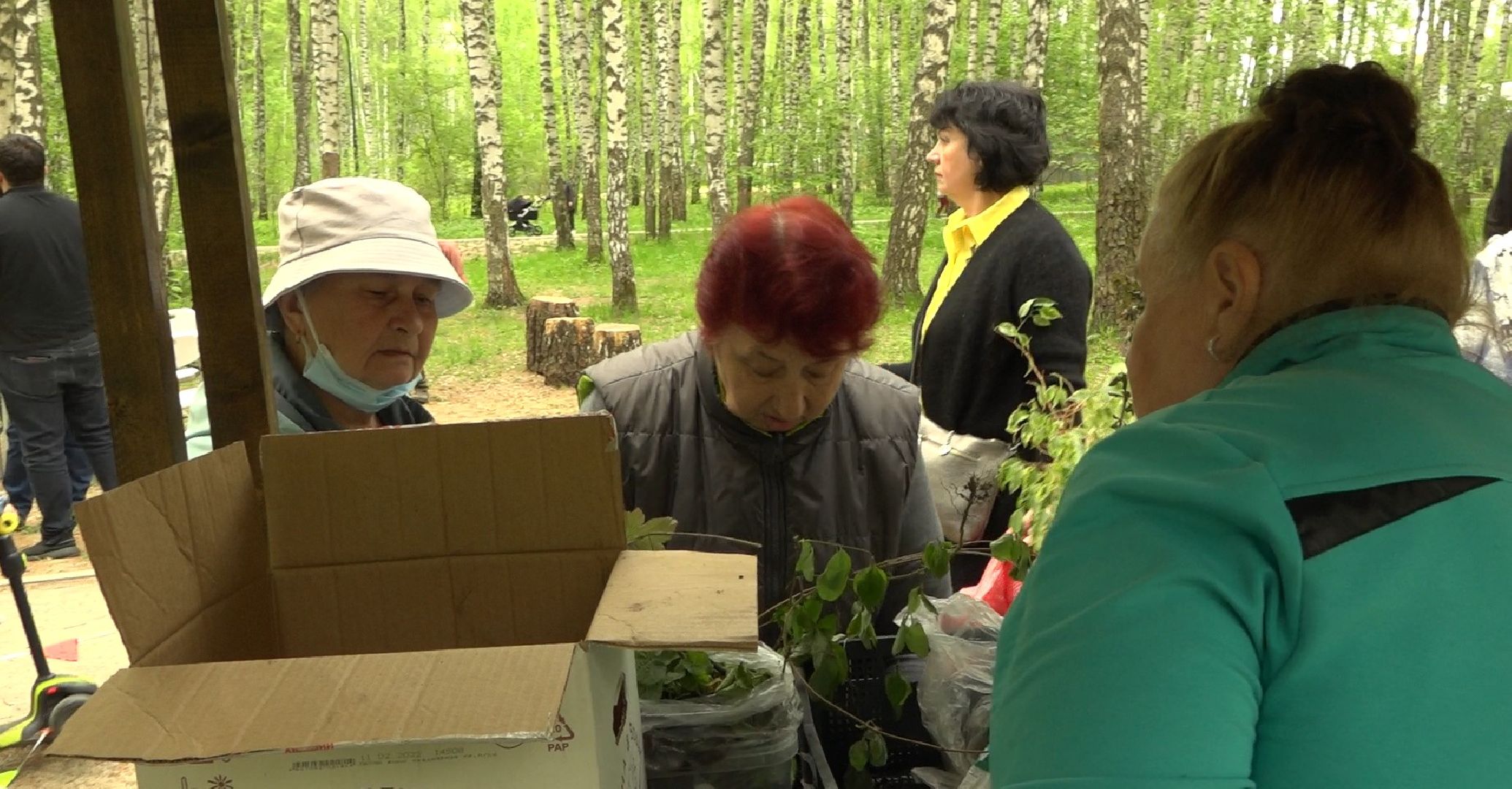 Садоводы, дармарка, Домодедово