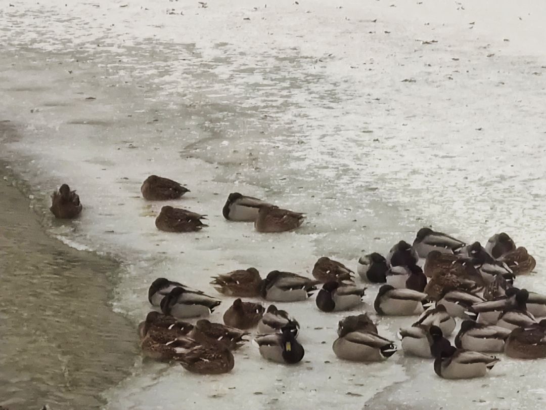 Красноармейск