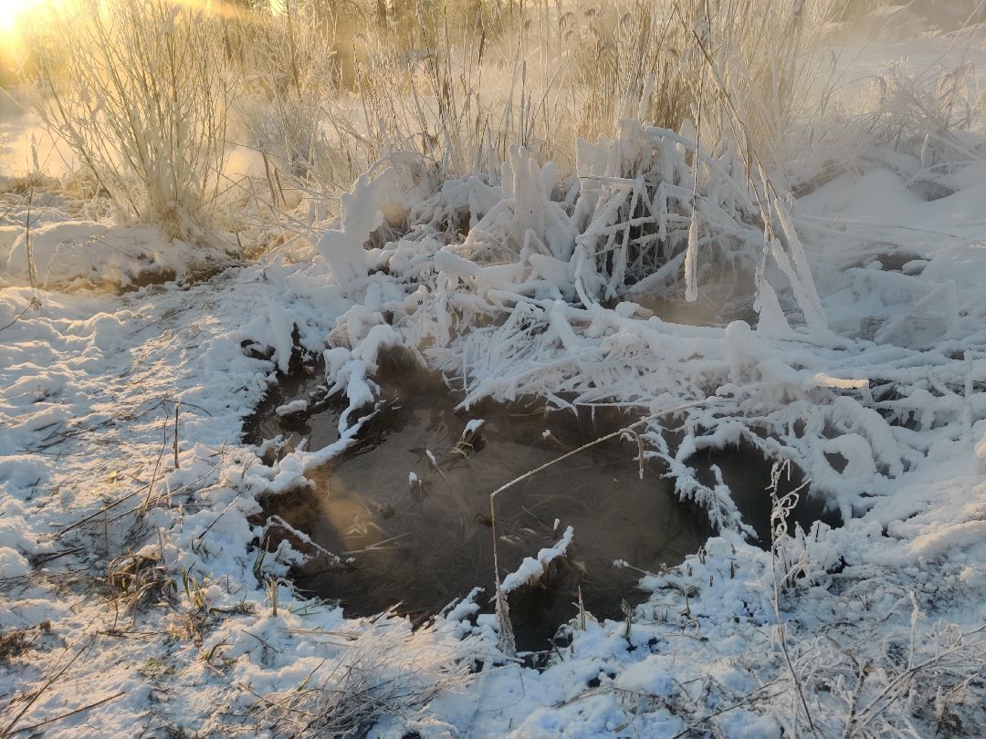 Красноармейск