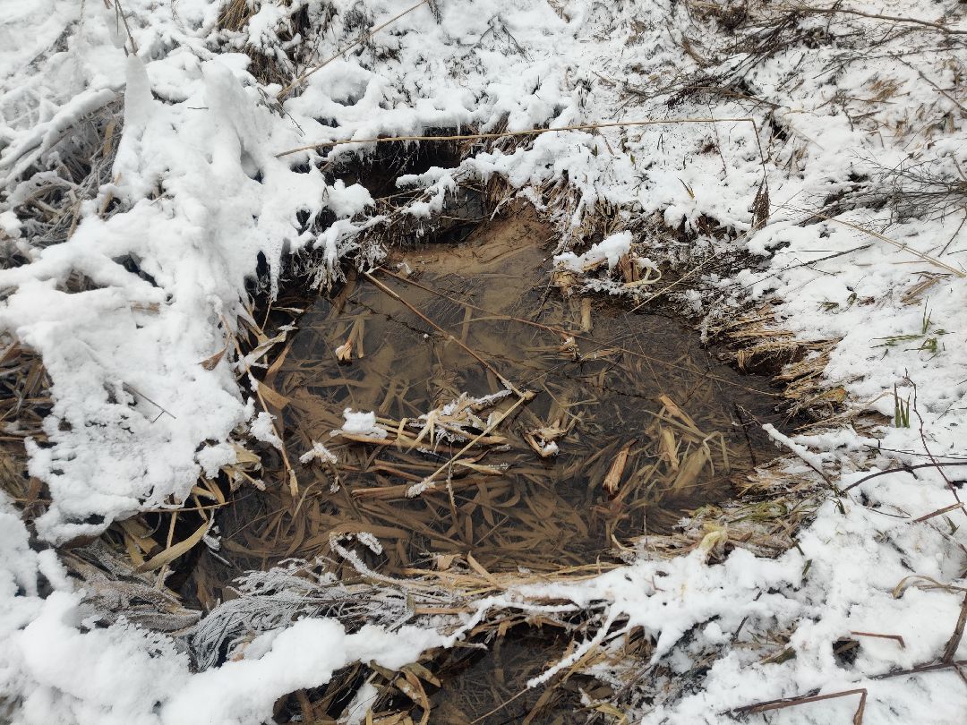 Красноармейск