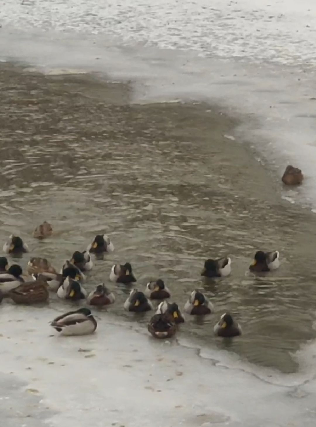 Красноармейск