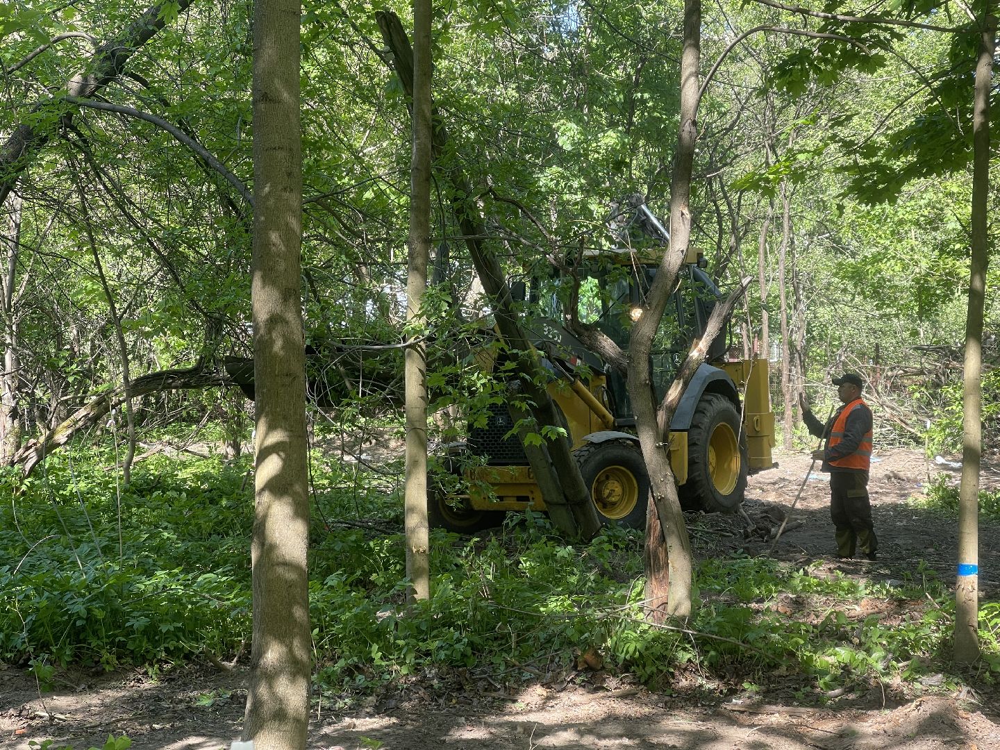 Благоустройство, Одинцово, строительство, бульвар,